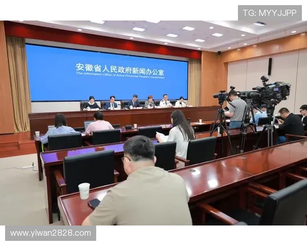 安徽经济直播在线观看最新动态与深度解析